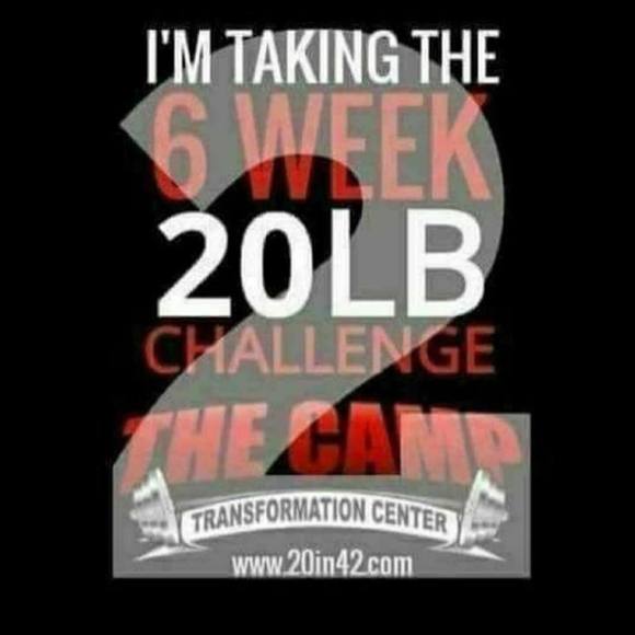 Meet your Posher, Jasmine - Picture 1 of 1